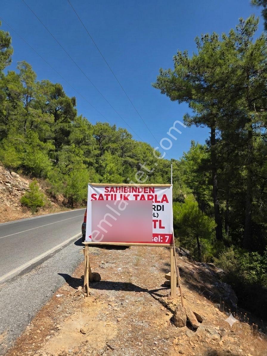 Sahibinden Alanya Meşeardı Satılık Tarla
