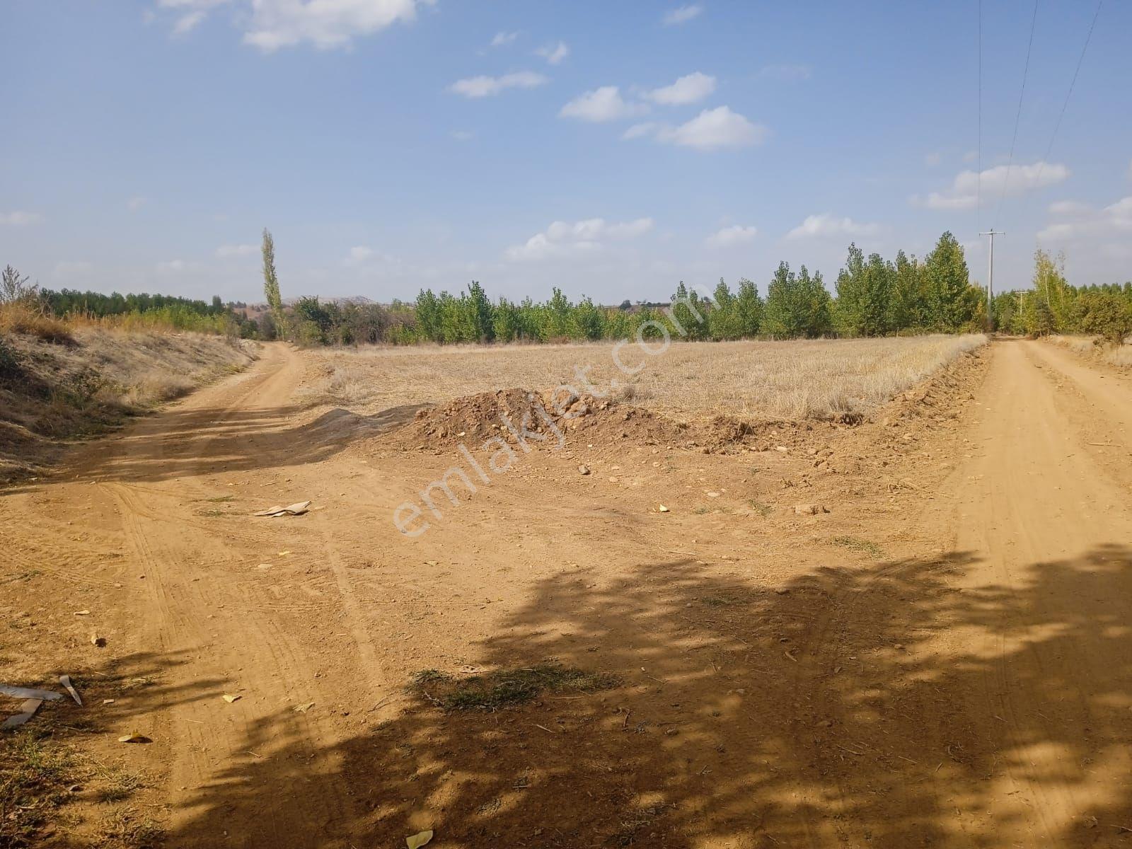 Sahibinden Denizli Çal Hançalar Kuzey'de 2.201 M² Kavaklık – Yatırımlık