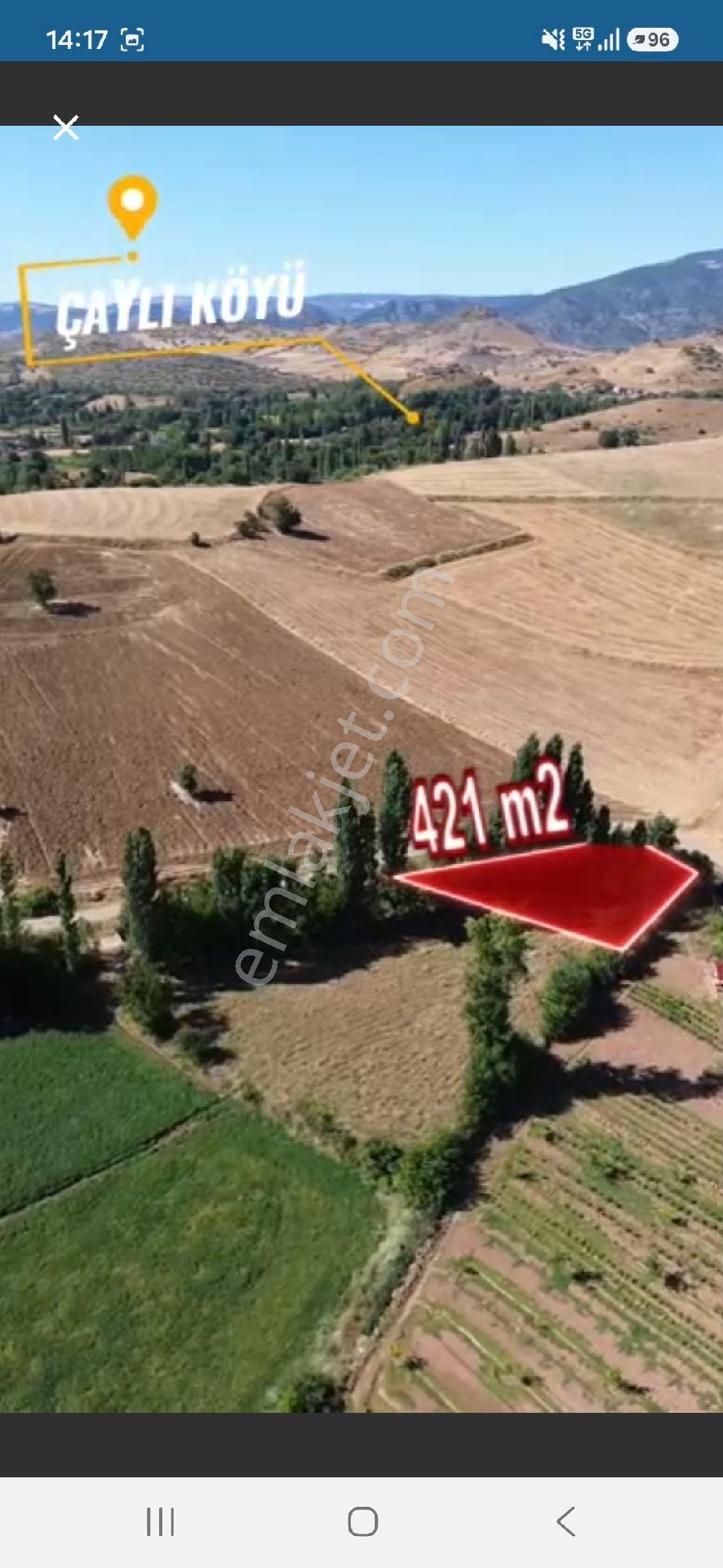 Sahibinden Tokat Turhal Çaylı Köyü 421 Bahçe Turhala 5 Dakika Mesafe