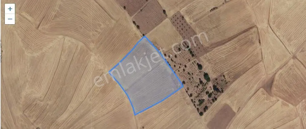 Sahibinden Kırıkkale Pazarcık Köyü'nde 21,5 Dönüm Satılık Tarla
