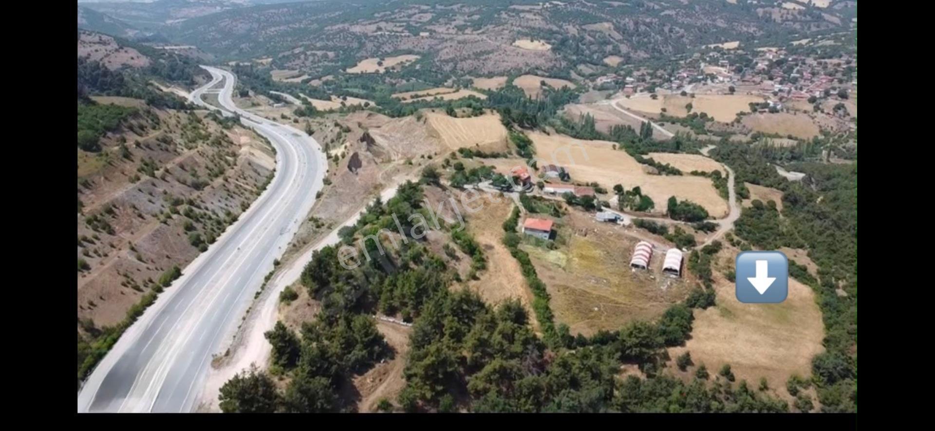 Sahibinden Otoyola Yakın, Kadastral Yollu! Merkeze 8 Dk 5.384 M²