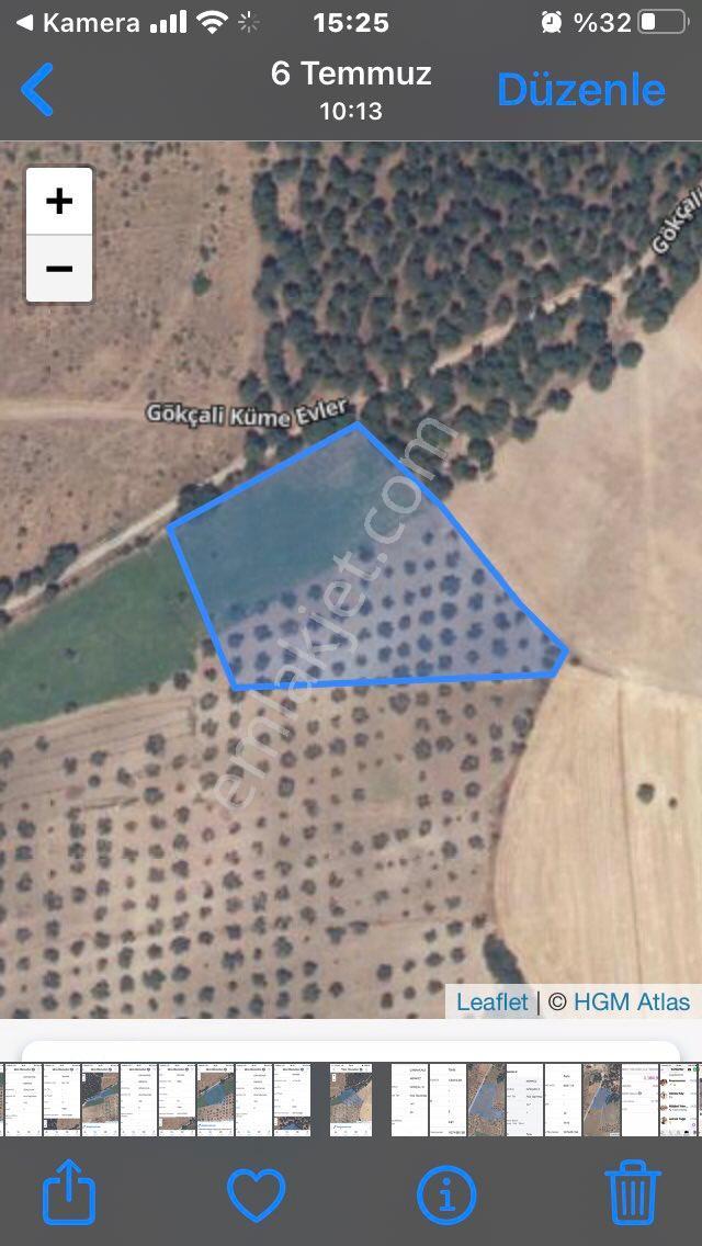 Sahibinden Çanakkale Merkez Gökçalı Köyü Satılık Zeytinlik