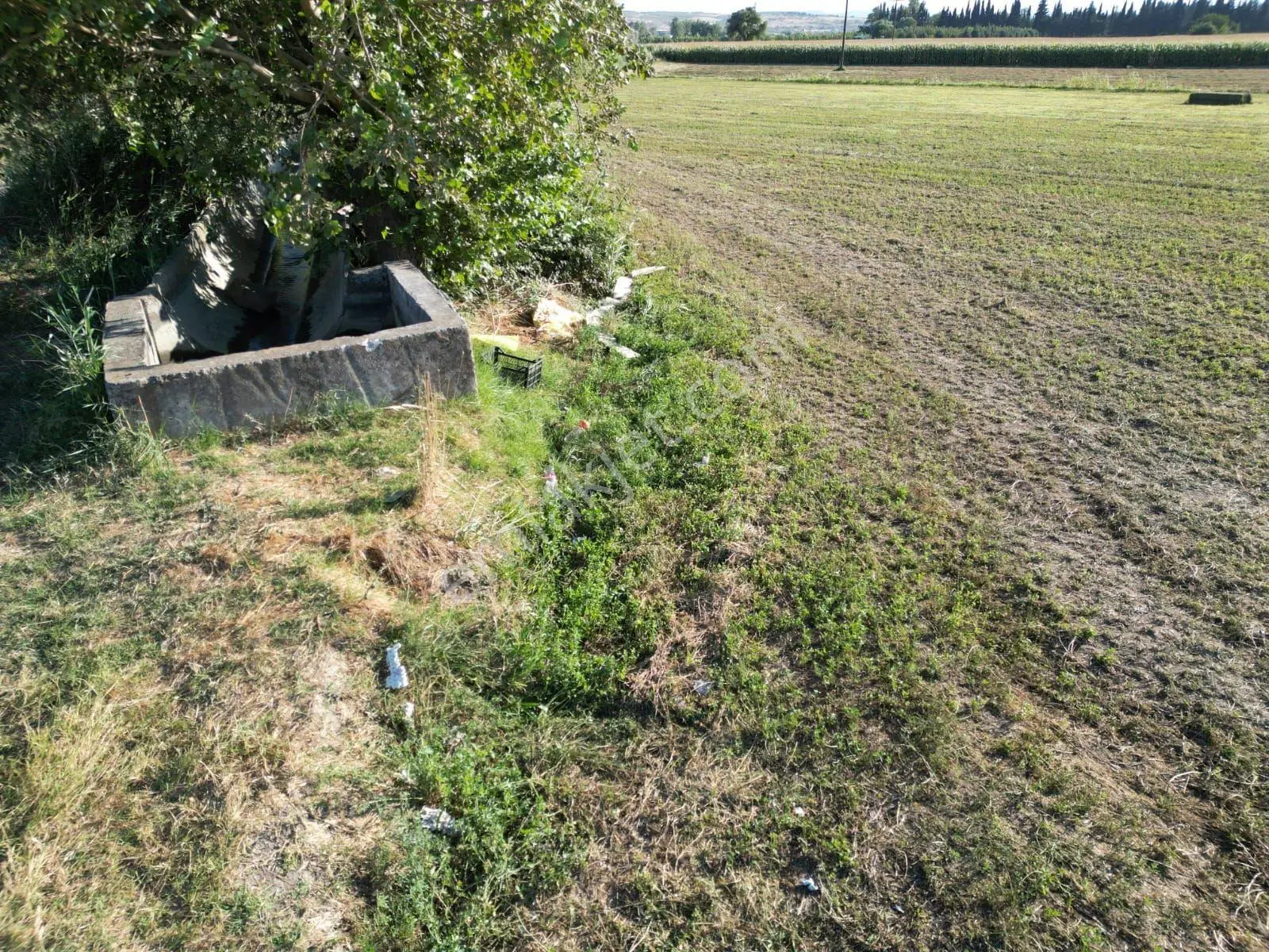 Sahibinden Şehir Hastanesine 5km Orman Fidanlık Müdürlüğü Arkasında 5414m2