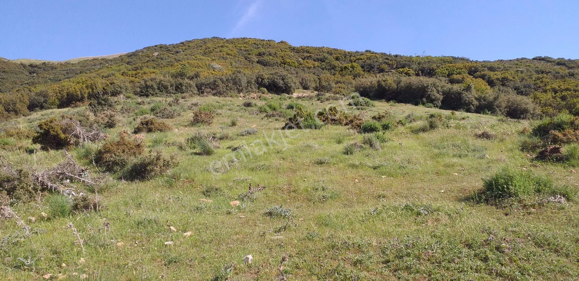 Sahibinden Tire 'de 24.387 M² Dsi Sondaj - Su İzinli Tarla