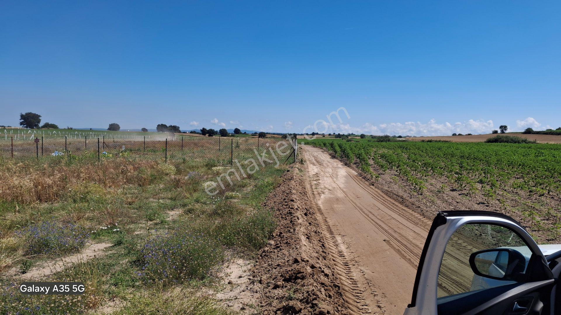 Sahibinden Tekirdağ Saray B.yoncalı Arsa