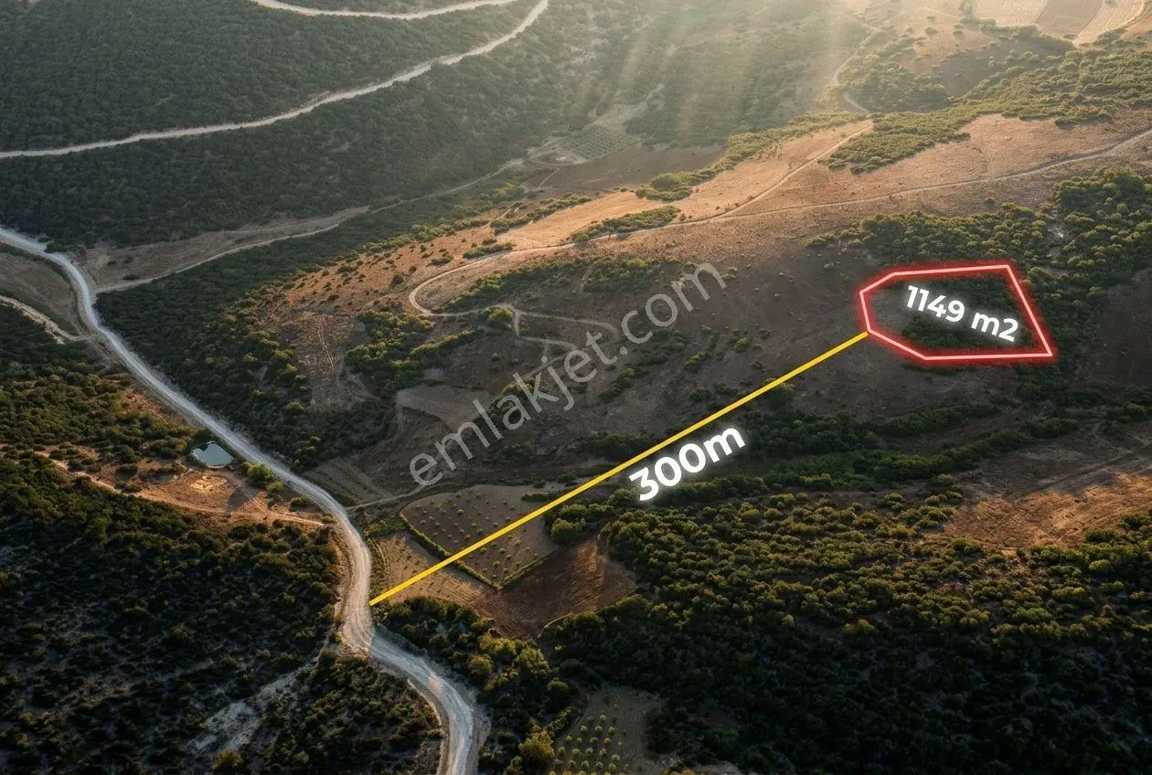 Sahibinden Bilecik Gölpazarı Söğütçük Köyünde 1149 M2 Tarla