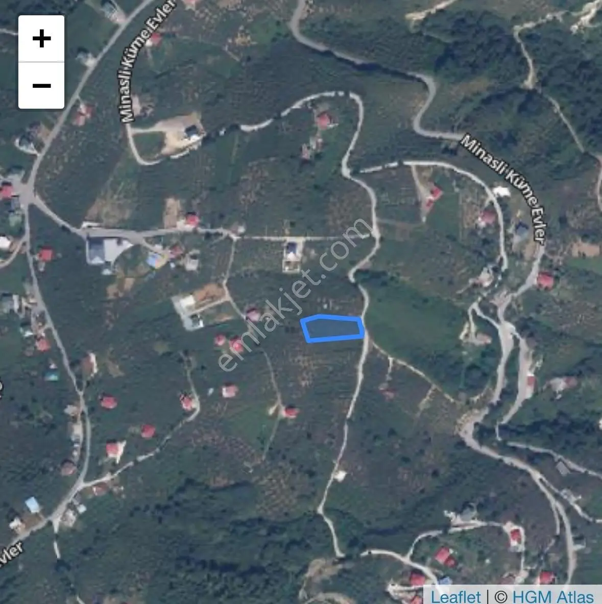 Sahibinden Trabzon/ortahisar Fındık Bahçesi