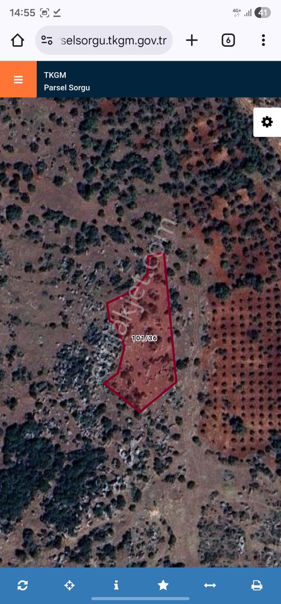 Sahibinden Hatay Altınözü Yunushanı'nda Satılık 2988 M² Doğa Manzaralı Arsa
