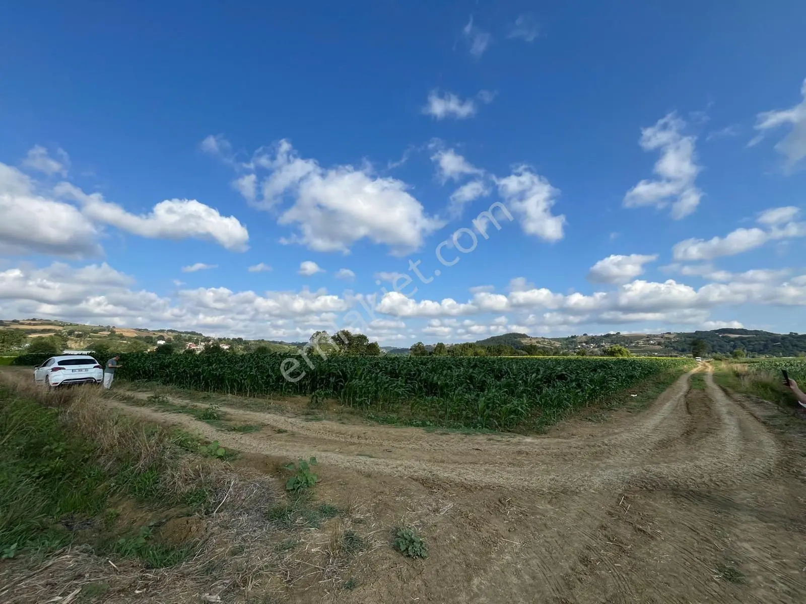 Sahibinden Kandıra Ferizli'de Müstakil Tapulu Kadastral Yola Cepheli 125,66 M² Satılık Tarla