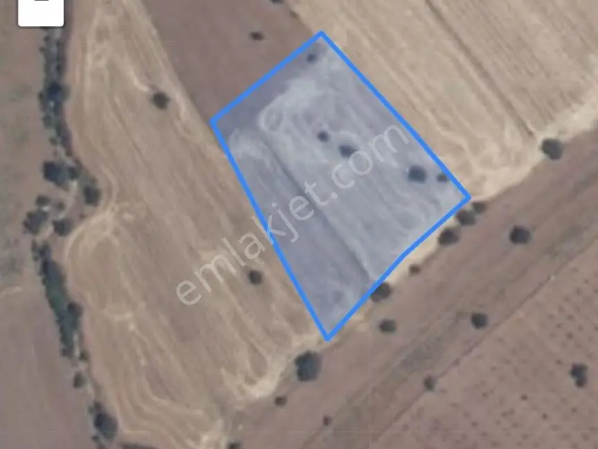 Sahibinden Kula Esenyazı Mahallesi'nde Satılık 3672 M² Tarla