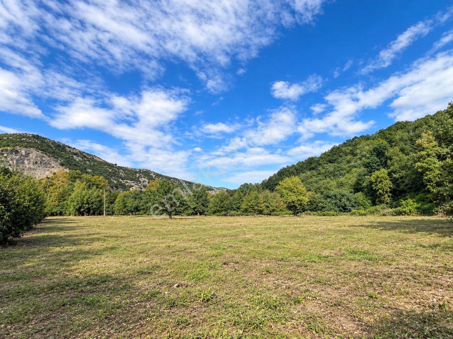 Sahibinden Sahibinden Şehire 15 Km Dereye Çok Yakın 2570 M² Satılık Tarla