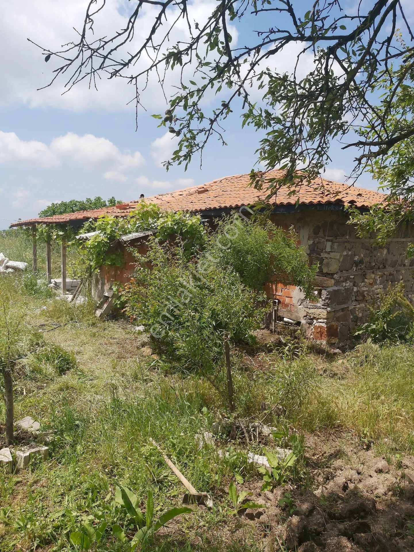 Sahibinden Çanakkale Uygun Fiyata Satılık Taş Ev Ve 1025 M2 Arsa