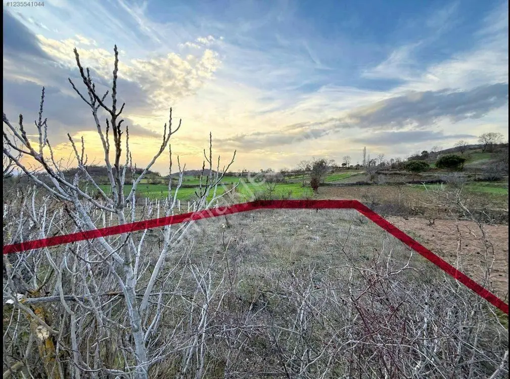 Sahibinden 580 M² Satılık Bağ