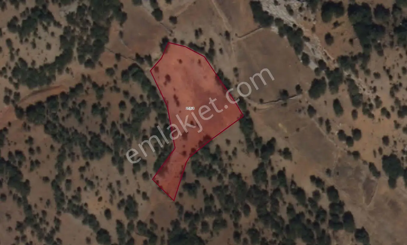 Sahibinden Konya Bozkır Hacılar 4.234 M² Tarla