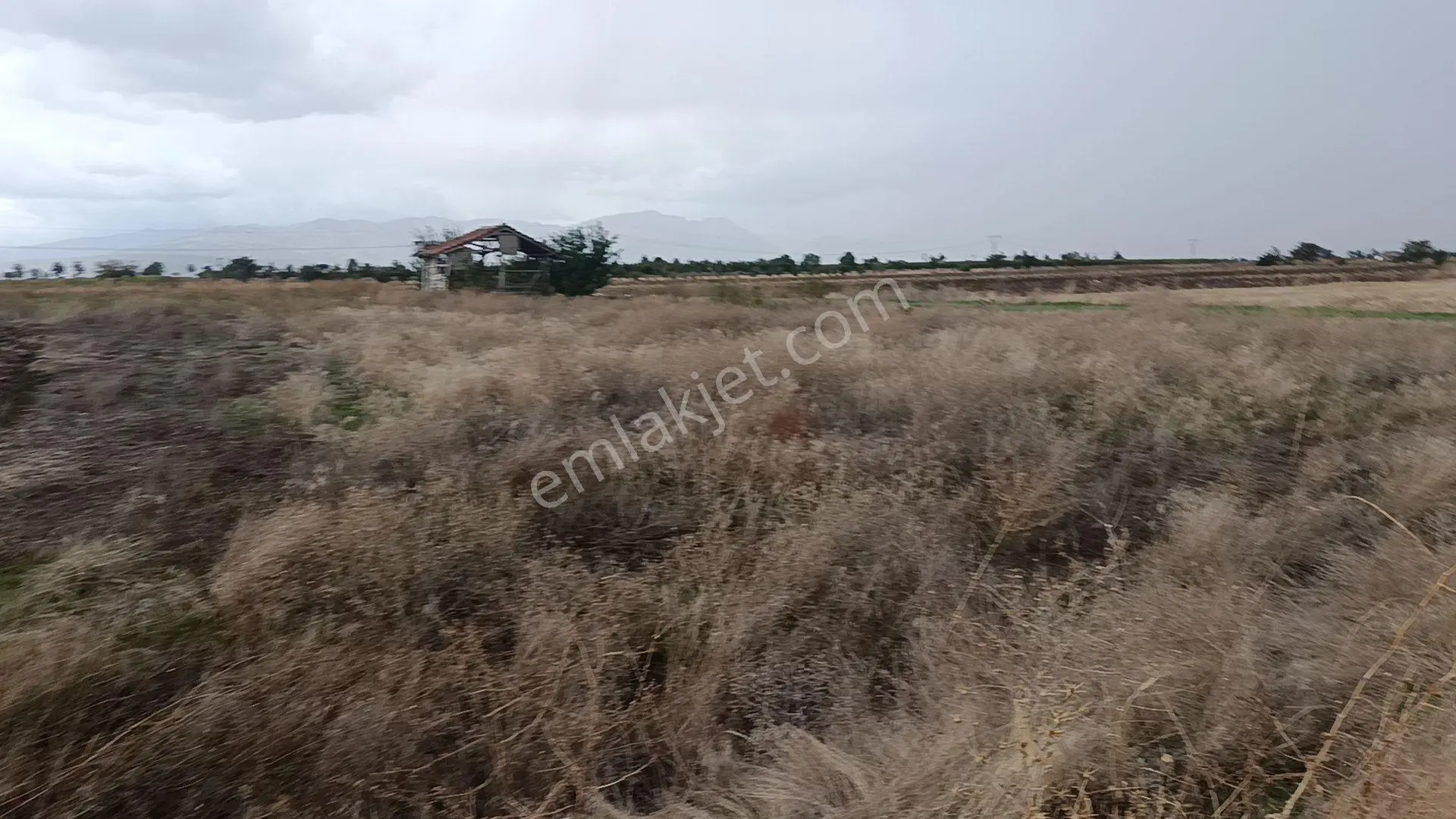 Sahibinden Apa Mahallesi'nde Satılık Su Var