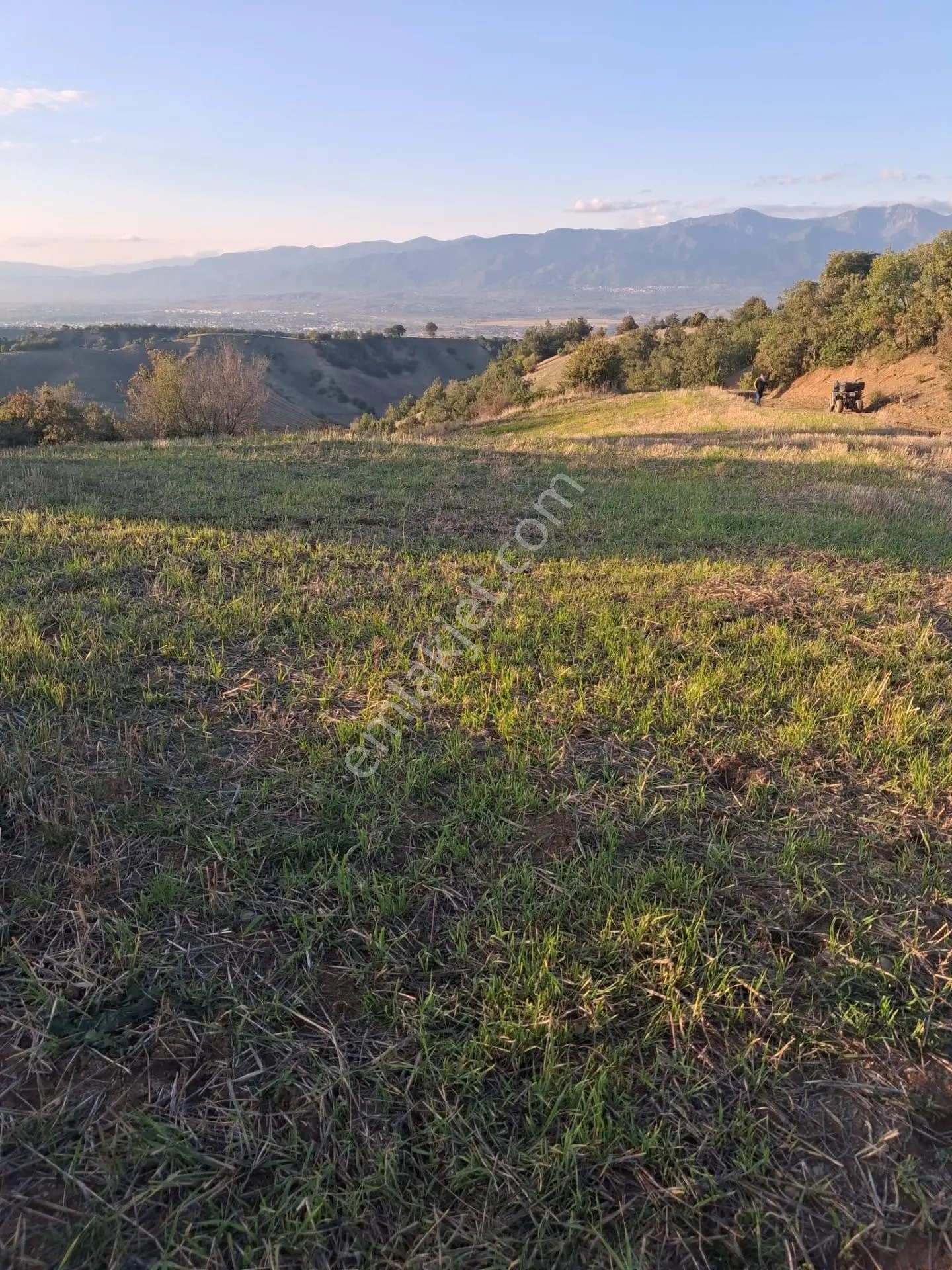 Sahibinden Erbaa Endikpınar’da 19,8 Dönüm – Suyu Bulunan, Yola Ulaşımlı Tarla