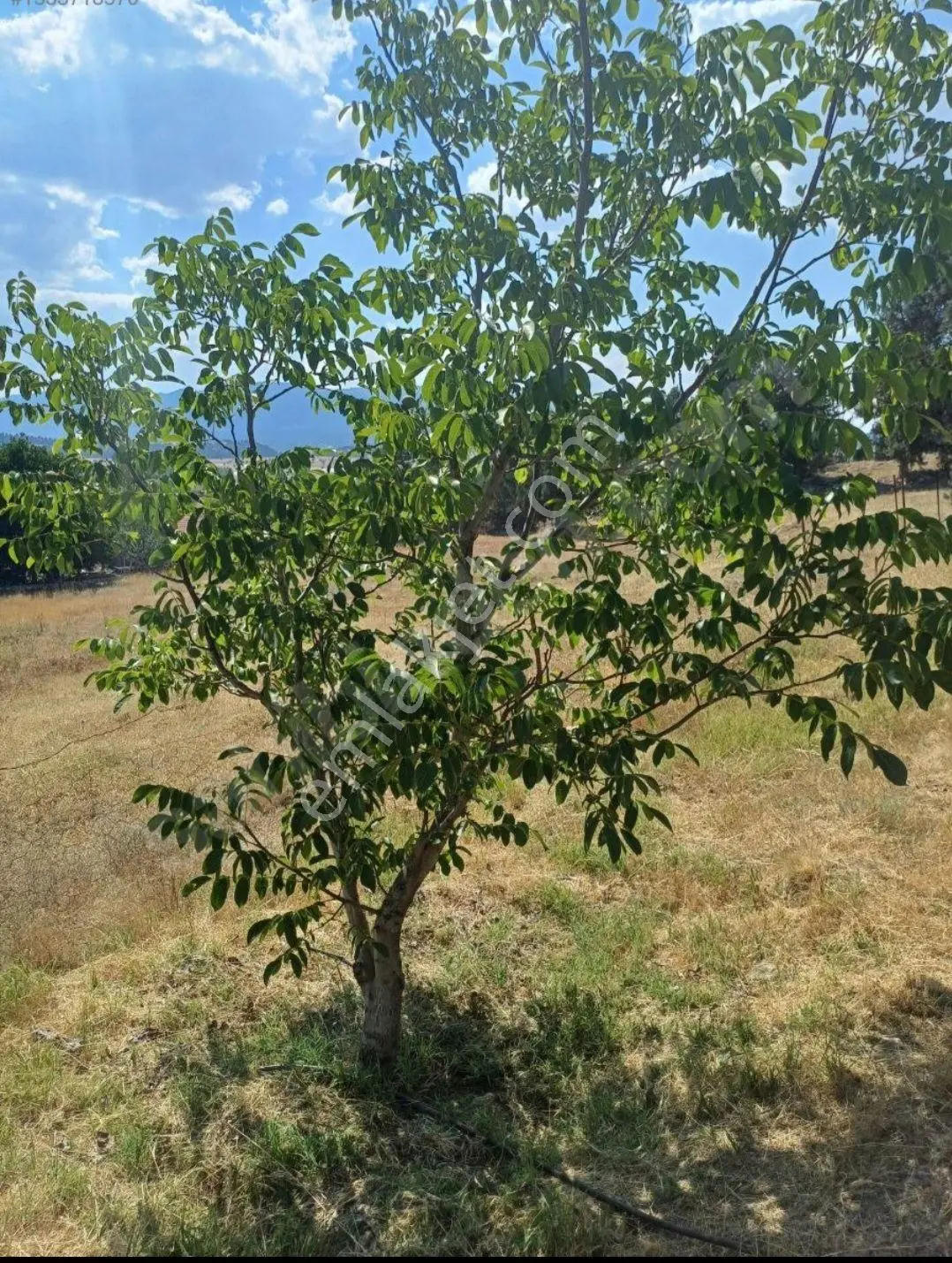 Sahibinden Yatırım Fırsatı