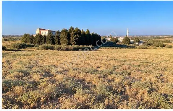 Sahibinden Hatay Antakya Üzümdalı’nda 11.008 M² Satılık Tarla | Sahibinden