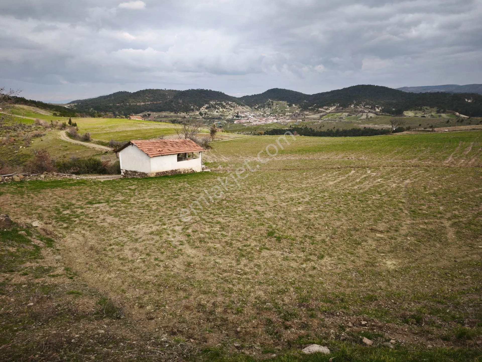 Sahibinden Tarla