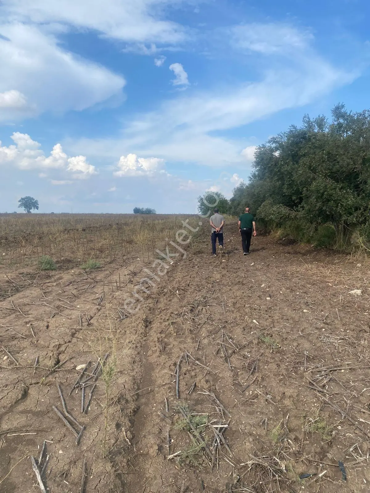 Sahibinden İlk Gelenalır Ceyhan Büyük Burhaniyede 8.660 M² Yol Kenarı Tarla