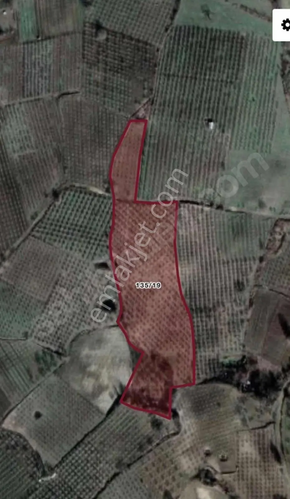 Sahibinden İnegöl’e 5 Km, 700 Ağaçlı Kısa Süreliğine Kupon Elma Bahçesi