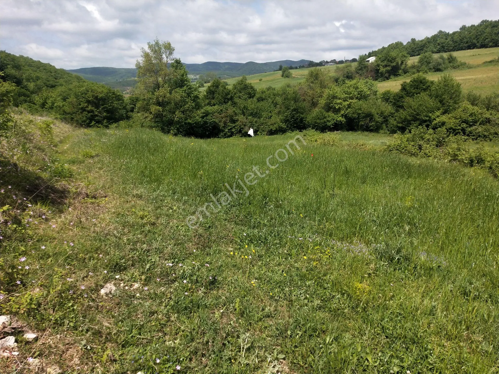 Sahibinden Sahibinden Derince Karagöllü' De 3581 M2 Müstakil Tapulu Tarla