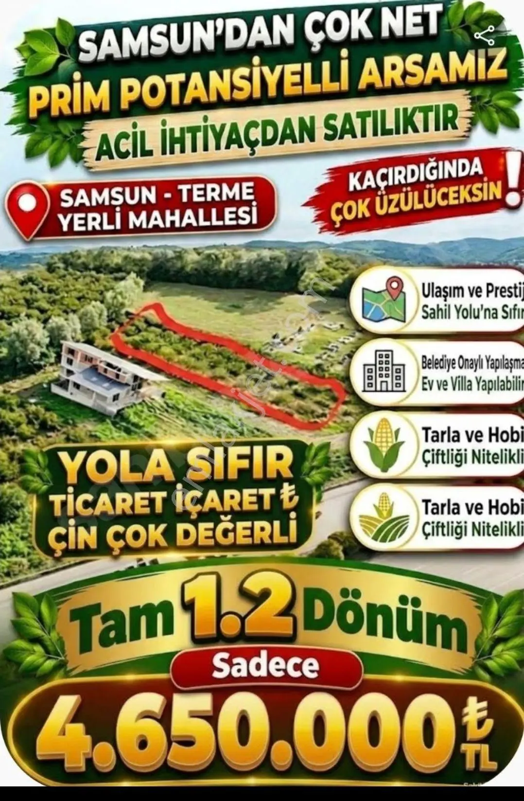 Sahibinden Sahibinden Karadeniz Sahil Yoluna Sıfır 1200 M2 Satılık Arsa