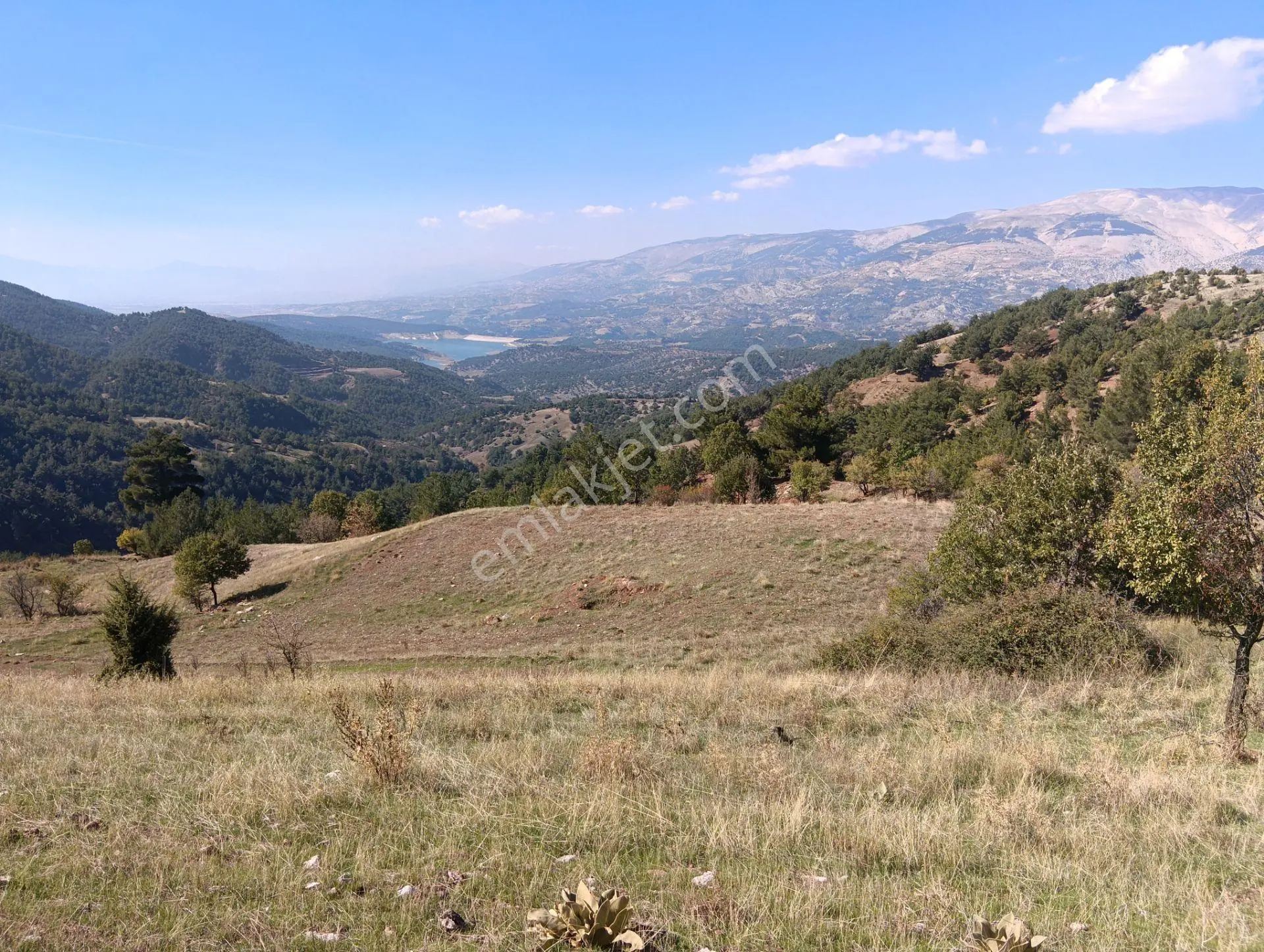 Sahibinden Borçtan Dolayı Acil Satılıktır O Yüzden Fiyat Uygun Tutuldu Azda Olsa Pazarlık Vardır Yine