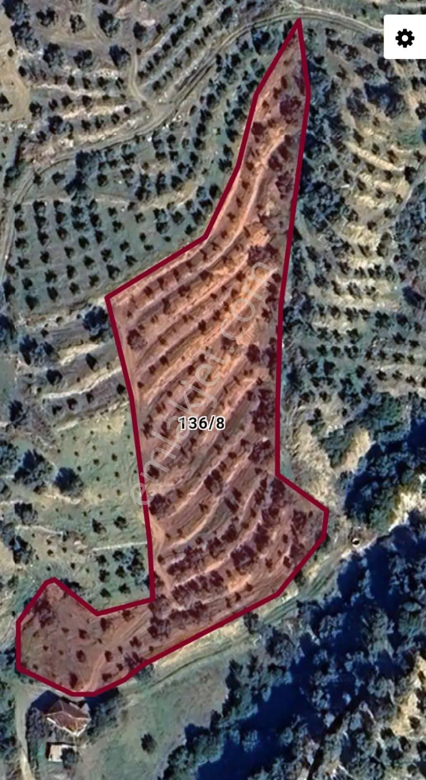 Sahibinden Aydın/bozdoğan/güneyyaka Mahallesi - 245 Adet Zeytinlik