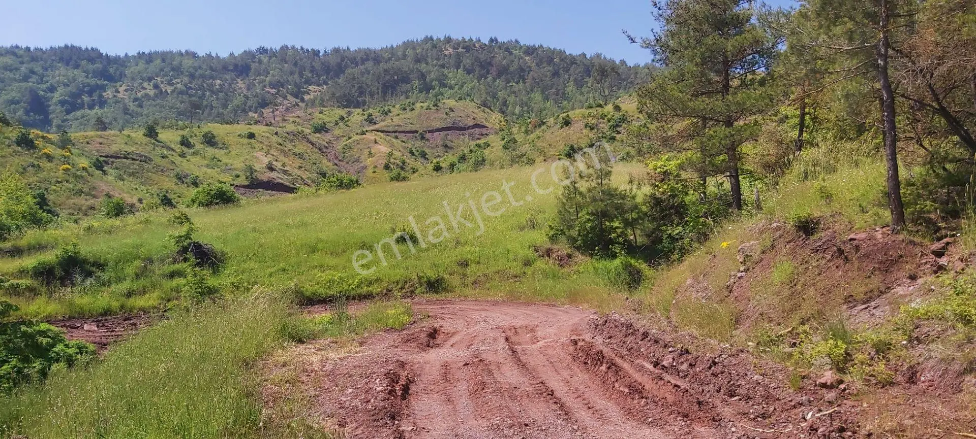 Sahibinden Satlık Arazi İster Yaylalık İstersen Hayvancılık Yap