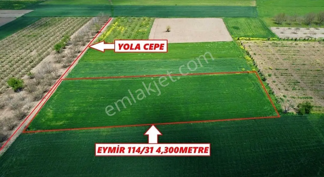 Sahibinden Acil Satılık Tarla