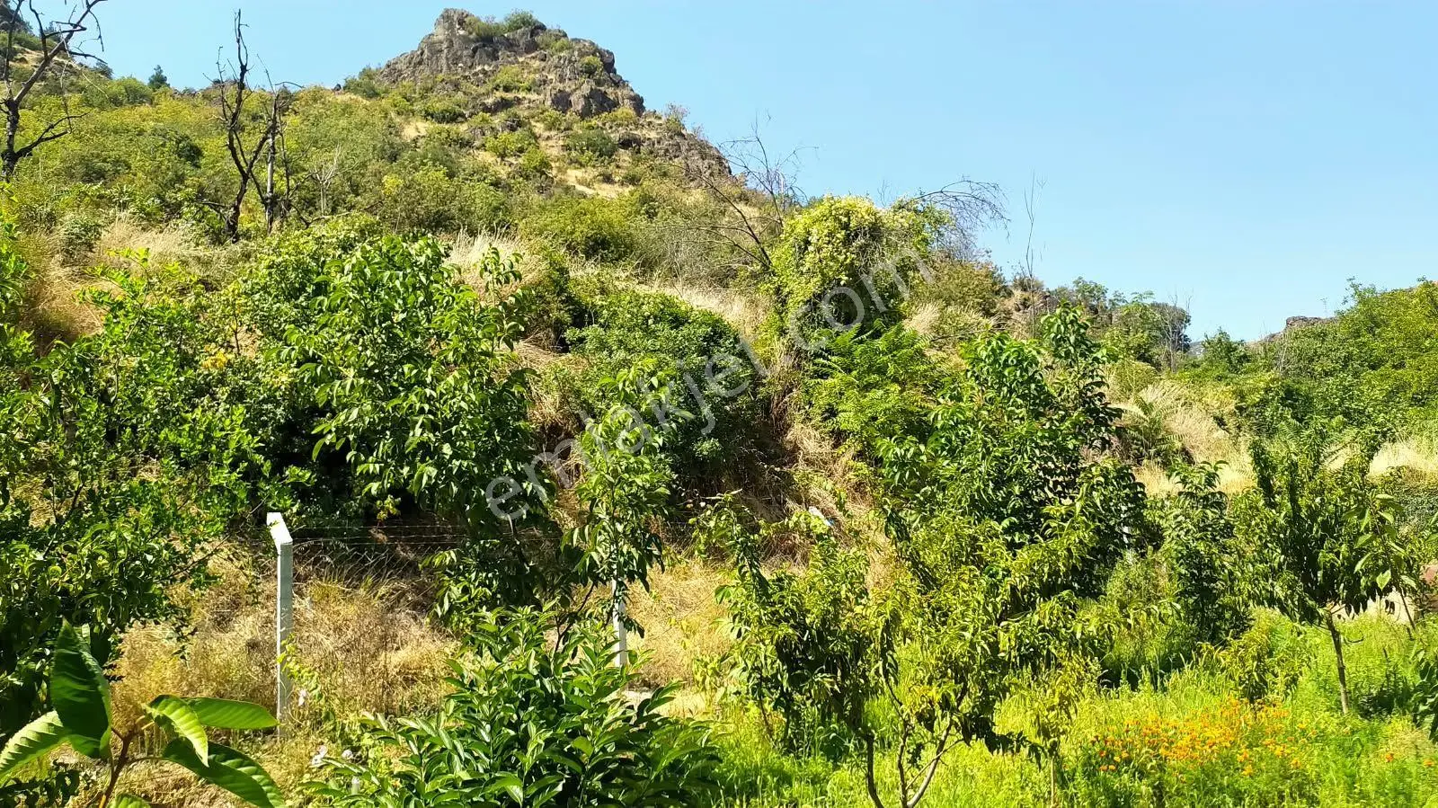 Sahibinden Amasya Ziyaret Belediyesi Yukarı Mahallesi'nde Satılık 345 M² Doğa Manzaralı Bağ