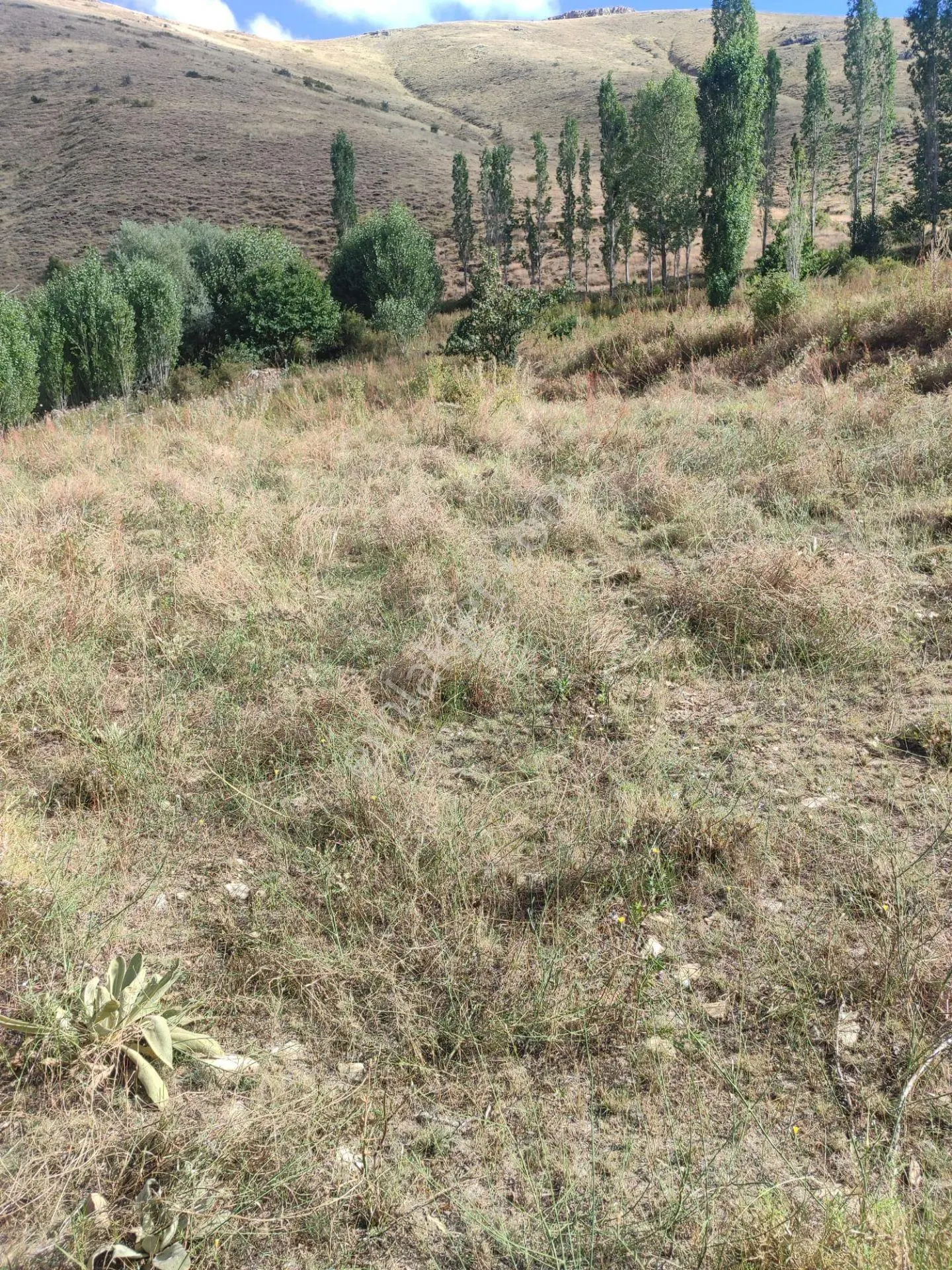 Sahibinden Çamardı Ören Köyü'nde 7.425 M² Satılık Doğa Manzaralı Tarla