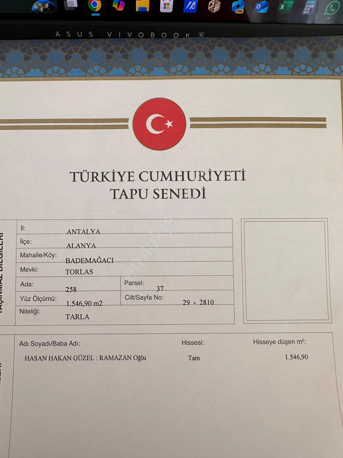 Sahibinden Alanya Badem Ağacında