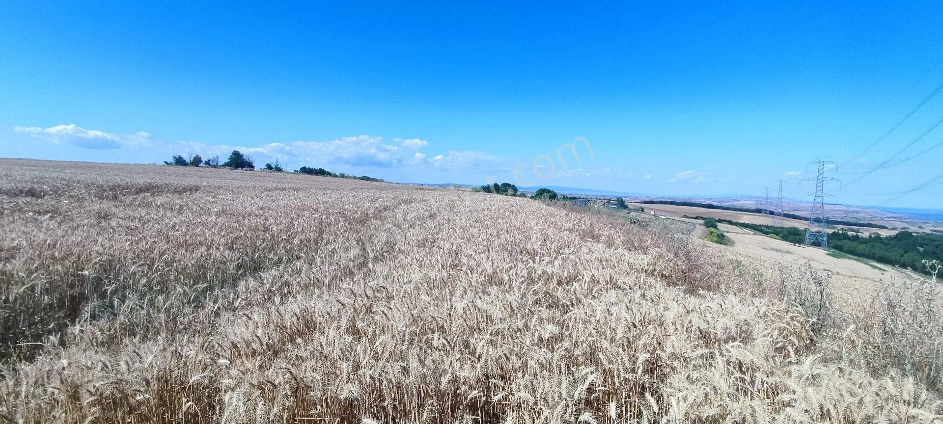 Sahibinden Sahibinden Boğaz Ve 1915 Çanakkale Köprü Manzaralı Tarla