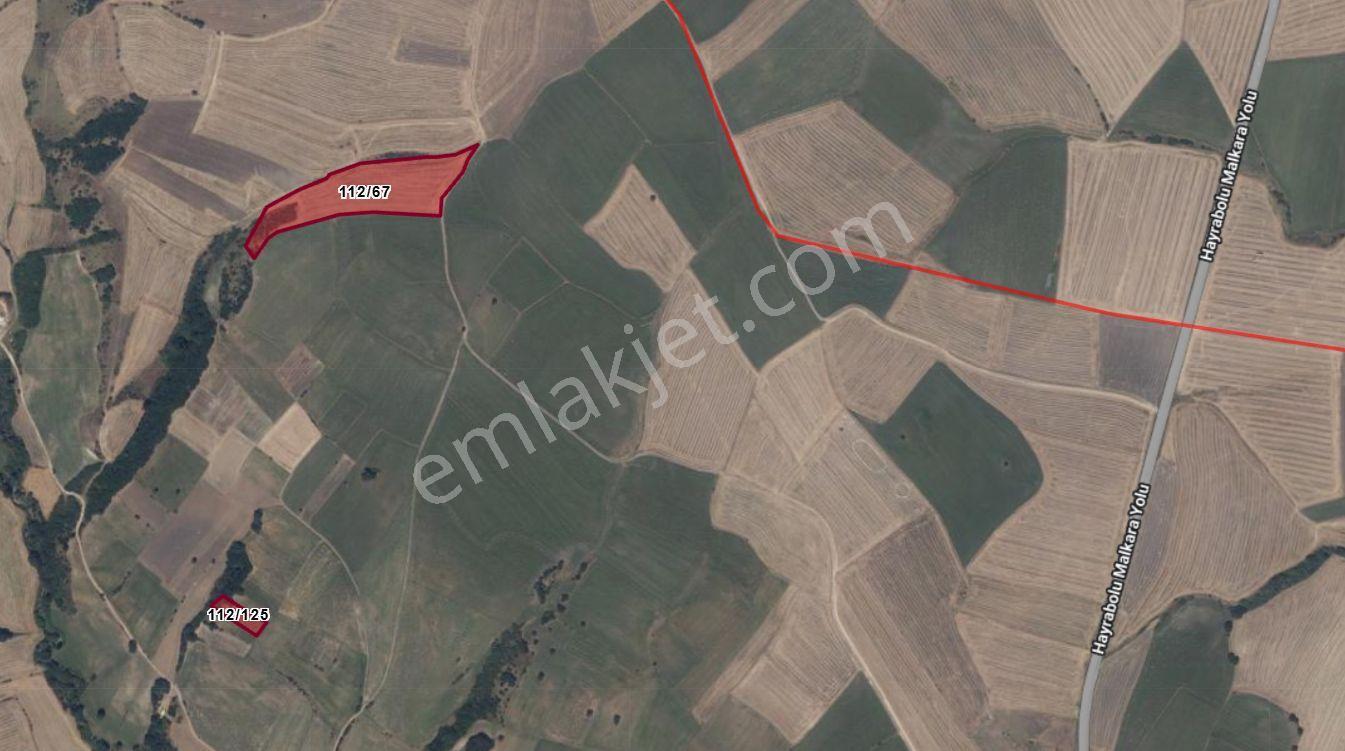 Sahibinden Toplu / Tekli Satılık | Malkara'da Yatırımlık, Birbirine Yakın Tarlalar
