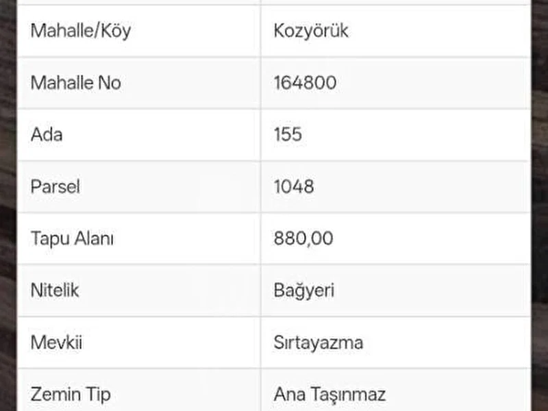 Müstakil Tapulu