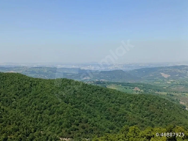 SATILIK ALTINOVA SERMAYECİK