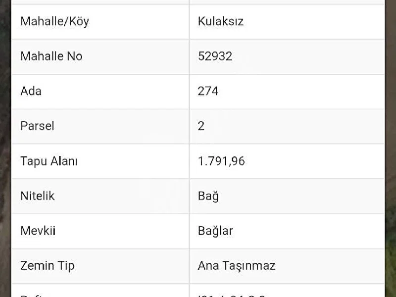 KIRIKKALE BALIŞEYH BAĞ