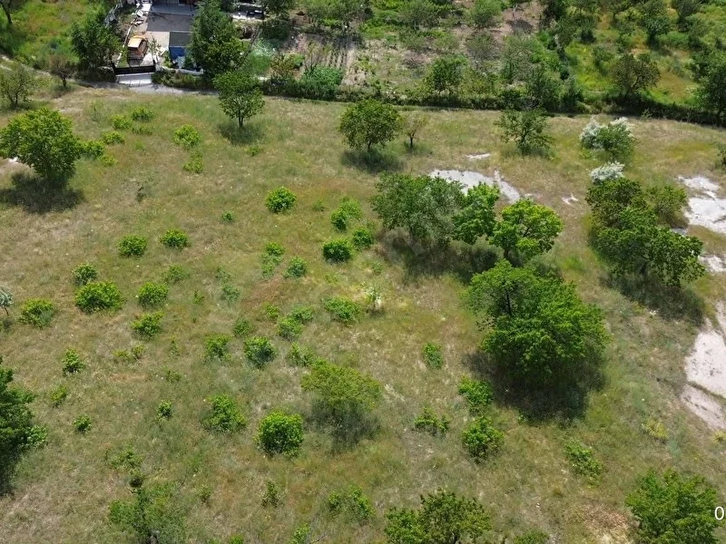 TALAS REŞADİYEDE RIZAİ TAKSİMLİ 2.468 m² SATILIK YATIRIMLIK BAĞ