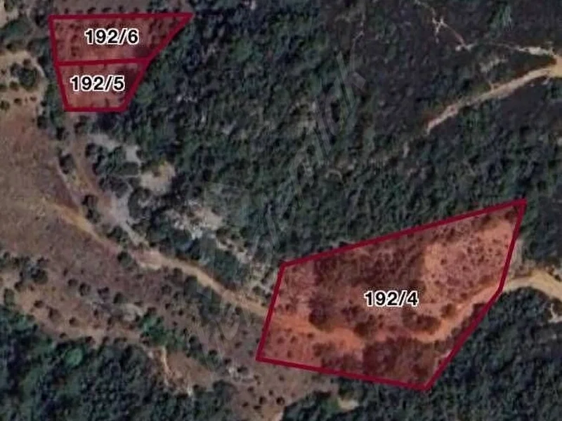 Muğla Menteşe Algı Köyünde 3390m² Satılık Tarla