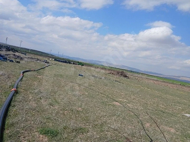 sahibinden satılık