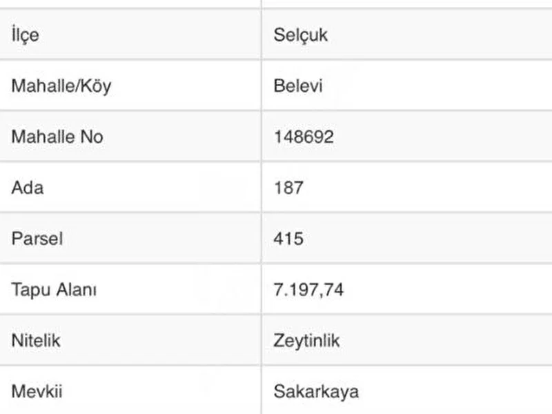 ACİL SATILIK ZEYTİNLİK❗️❗️❗️