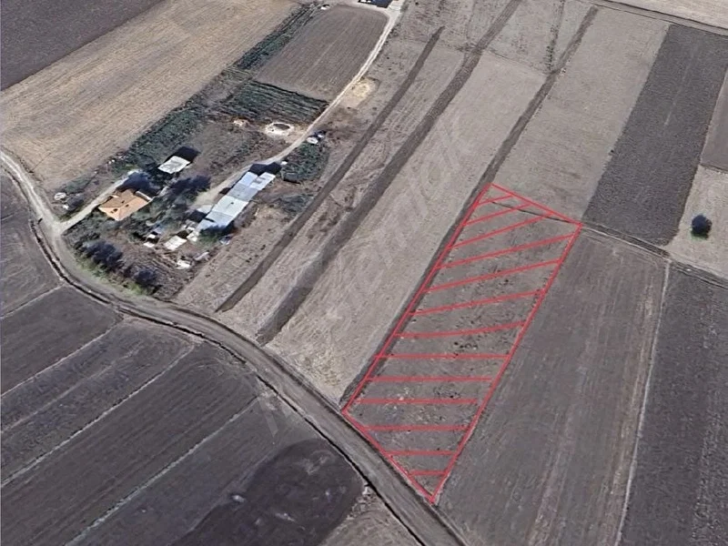 ELAZIĞ MOLLAKENDİ'DE SAHİBİNDEN 3800M² SULU TARLA