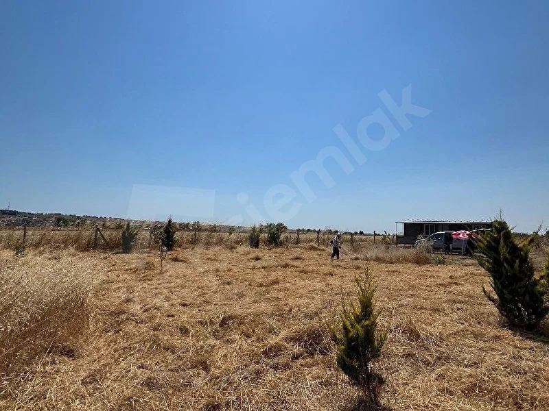 Tekirdağ Marmara Ereğlisi satılık tarla