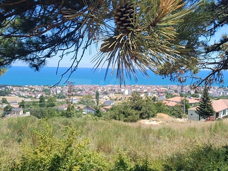 Gerze'de İhale Fırsatı ! Deniz Manzaralı Kupon Arsa