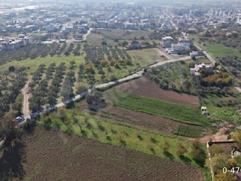 15 Daire Cıkıcak Kupan Arazi