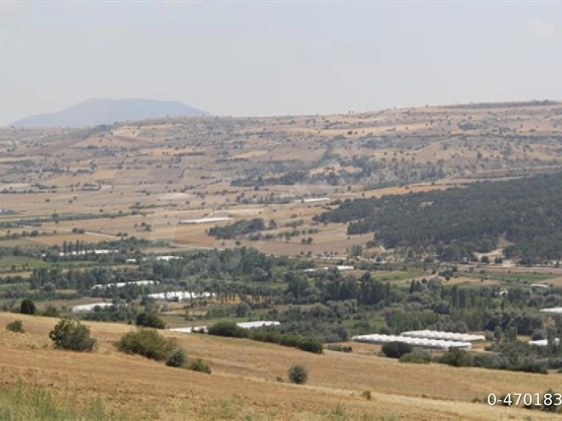 Isparta Yalvaç Çetince’de Yola Yakın Seraya Uygun Satılık Arsa