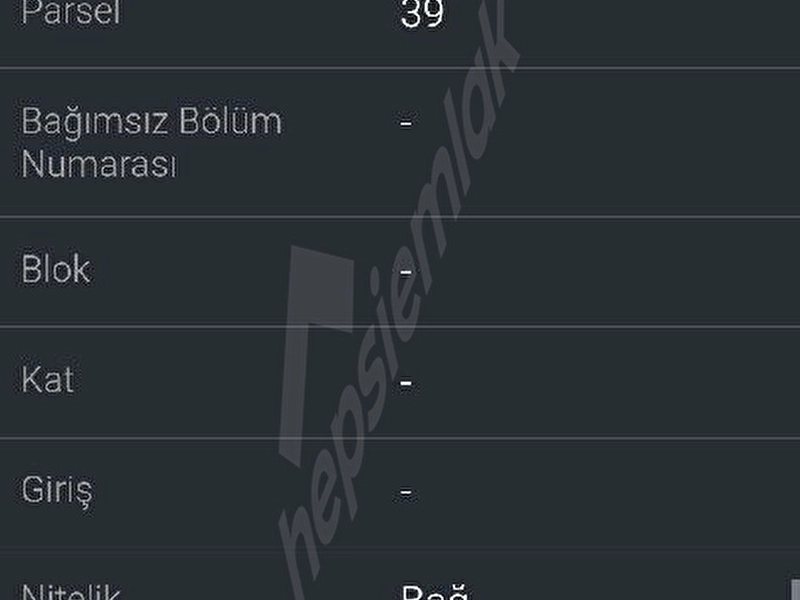 BABAESKİ MÜSELLİM BAĞ YERİ