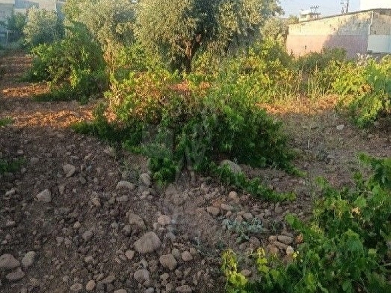 ihtiyaç tan satılık yatırımlık imarlı arsa